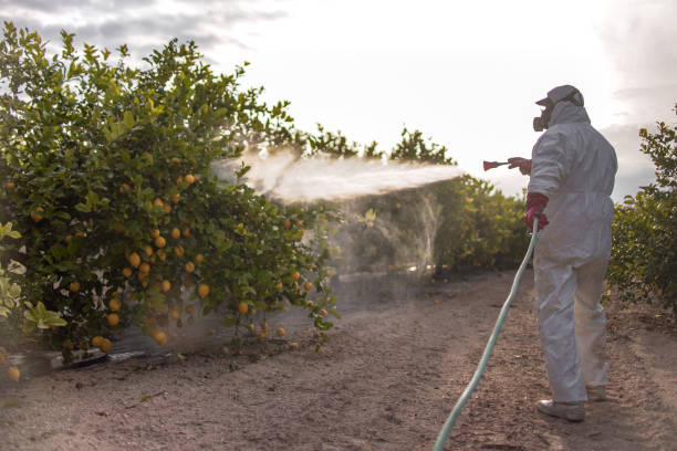 Best Pest Control Treatment  in Birmingham, AL