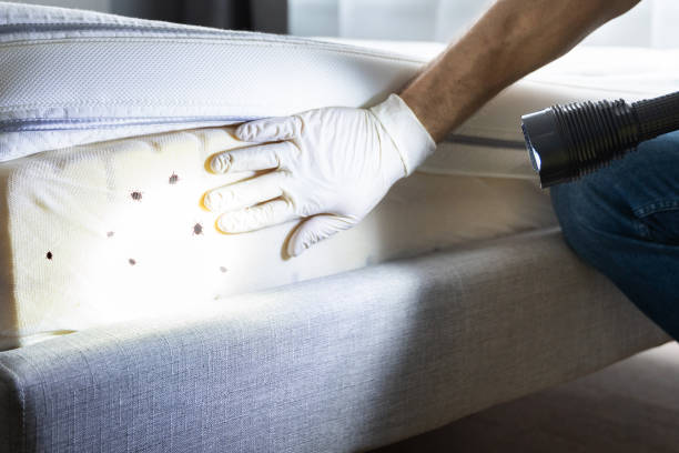 Birmingham, AL Pest Control Pros