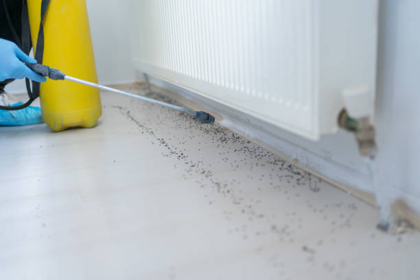 Best Best Pest Control Companies  in Birmingham, AL