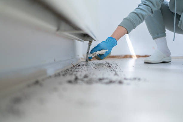 Best Rat Extermination Near Me  in Birmingham, AL
